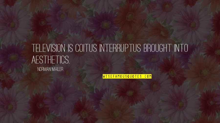 Hombro In English Quotes By Norman Mailer: Television is coitus interruptus brought into aesthetics.