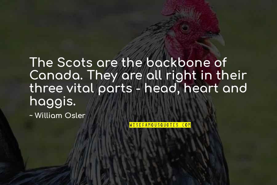 Home Alone 2 Marv Quotes By William Osler: The Scots are the backbone of Canada. They Home Alone 2 Marv Quotes By William Osler: The Scots are the backbone of Canada. They