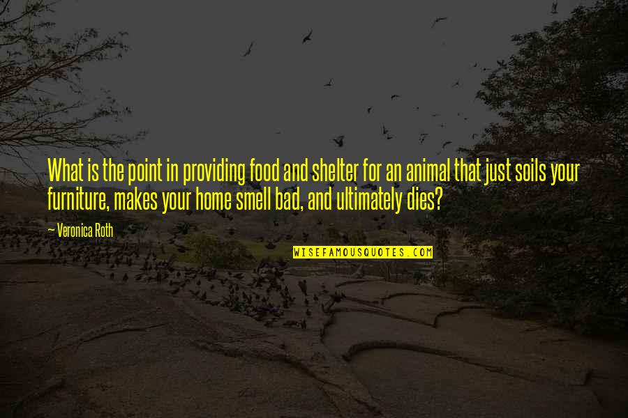 Home And Food Quotes By Veronica Roth: What is the point in providing food and