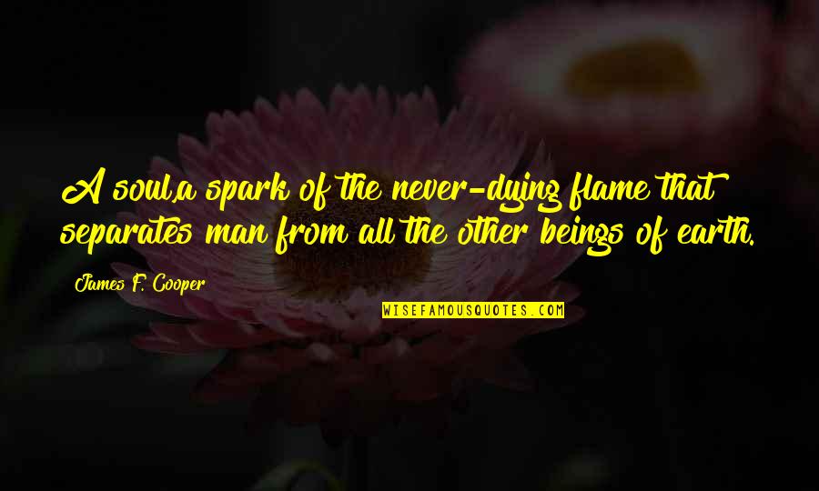 Home Canning Quotes By James F. Cooper: A soul,a spark of the never-dying flame that