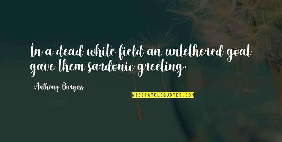 Home Cooked Meal Quotes By Anthony Burgess: In a dead white field an untethered goat