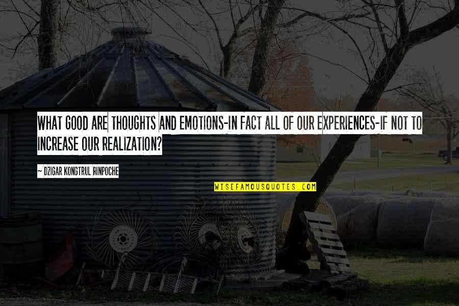 Home How Habitat Quotes By Dzigar Kongtrul Rinpoche: What good are thoughts and emotions-in fact all