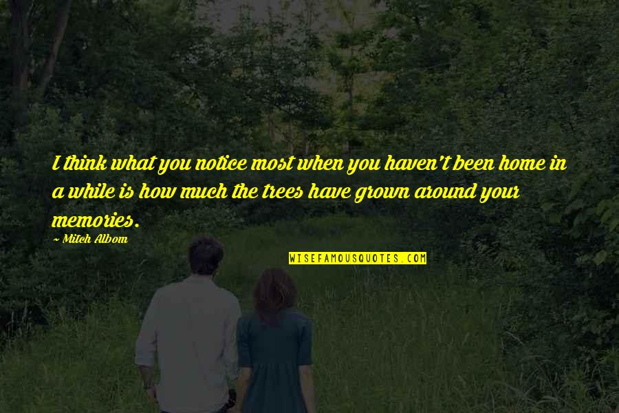 Home How Quotes By Mitch Albom: I think what you notice most when you Home How Quotes By Mitch Albom: I think what you notice most when you