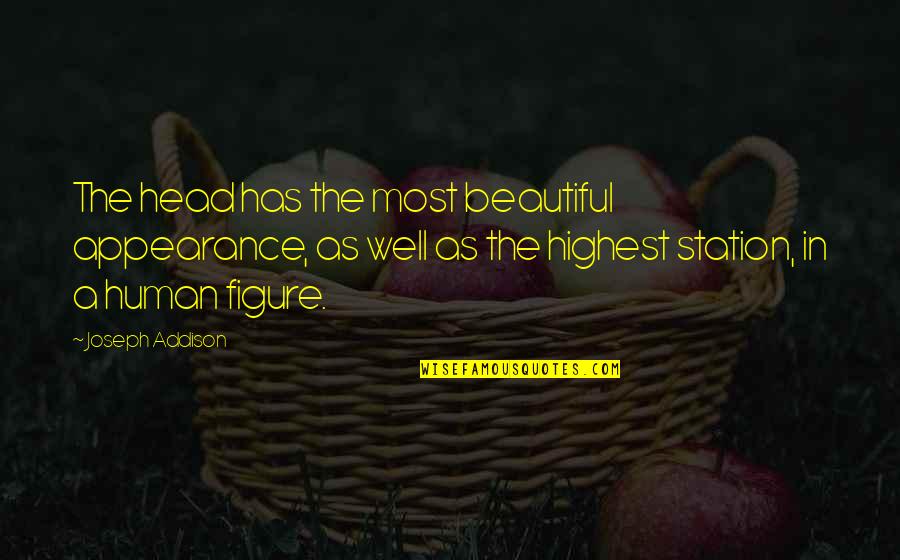 Home Ice Skating Quotes By Joseph Addison: The head has the most beautiful appearance, as Home Ice Skating Quotes By Joseph Addison: The head has the most beautiful appearance, as