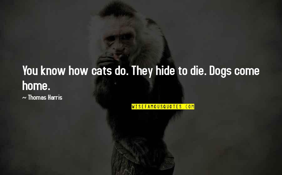 Home With Dogs Quotes By Thomas Harris: You know how cats do. They hide to