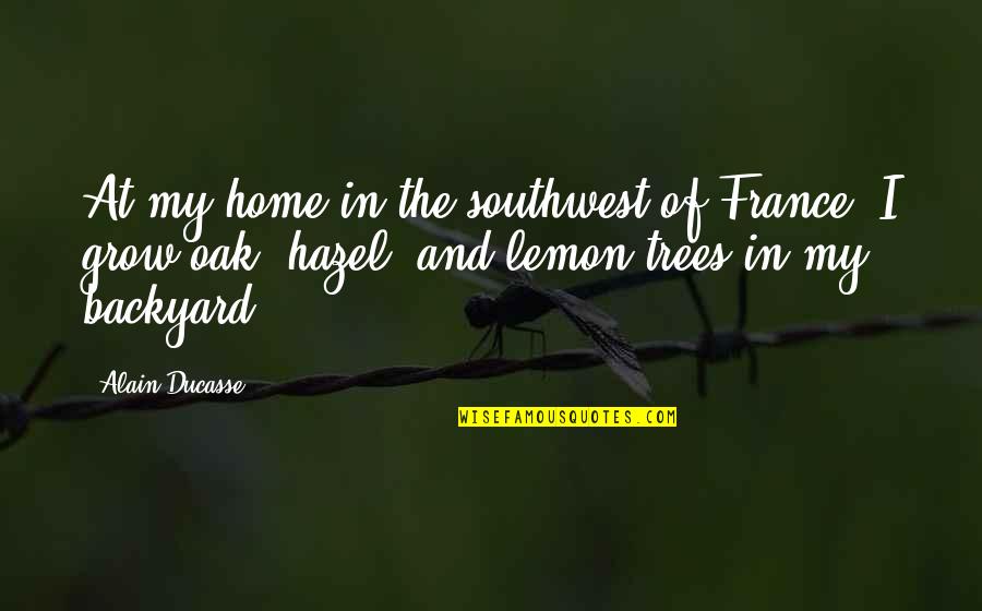 Home You Grow Up In Quotes By Alain Ducasse: At my home in the southwest of France, Home You Grow Up In Quotes By Alain Ducasse: At my home in the southwest of France,
