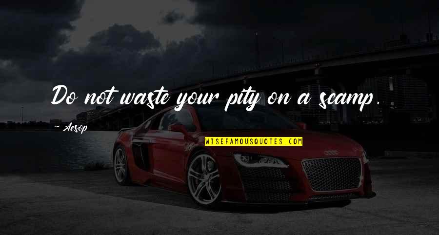 Homeboyz By Alan Lawrence Sitomer Quotes By Aesop: Do not waste your pity on a scamp.
