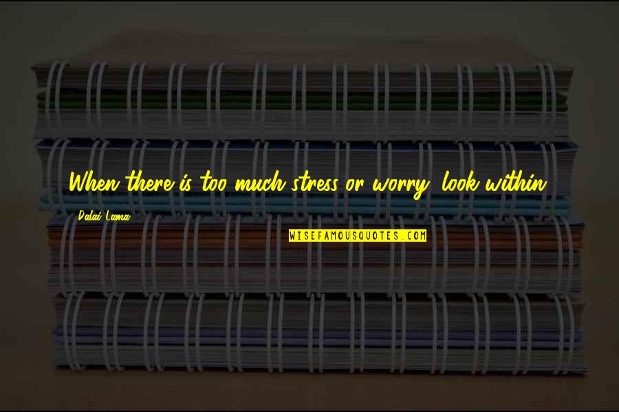 Homeliest Quotes By Dalai Lama: When there is too much stress or worry,