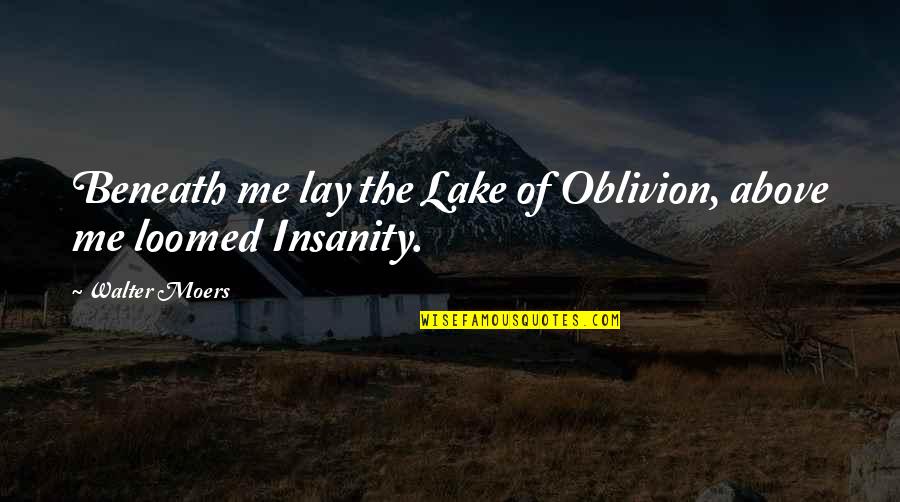 Homely Synonym Quotes By Walter Moers: Beneath me lay the Lake of Oblivion, above