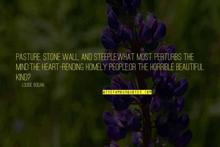 Homely Wall Quotes By Louise Bogan: Pasture, stone wall, and steeple,What most perturbs the