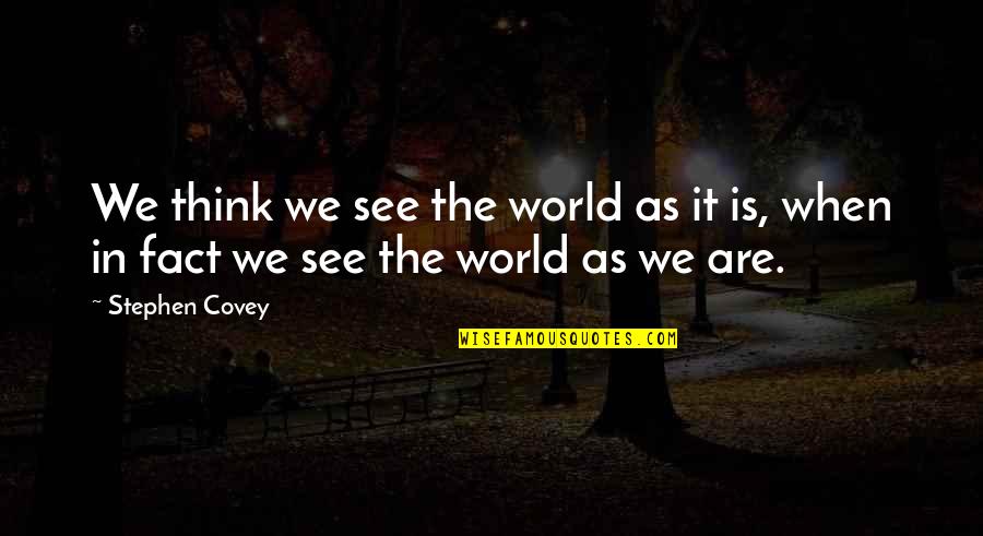 Homemade Cookies Quotes By Stephen Covey: We think we see the world as it