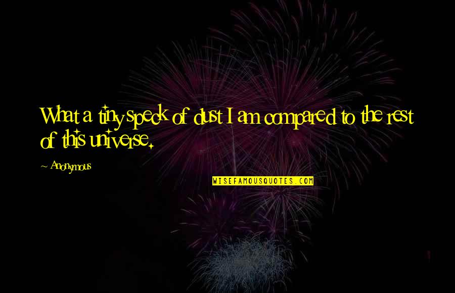 Homenagem Em Quotes By Anonymous: What a tiny speck of dust I am