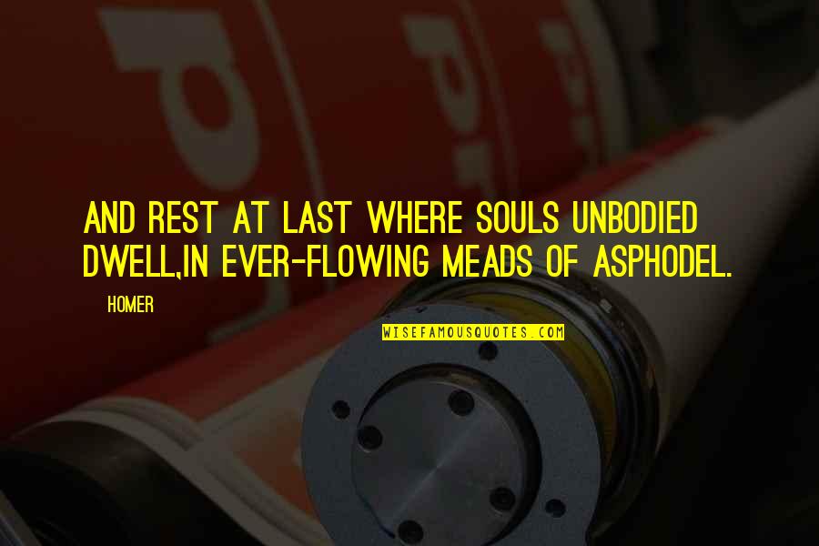 Homer Best Quotes By Homer: And rest at last where souls unbodied dwell,In
