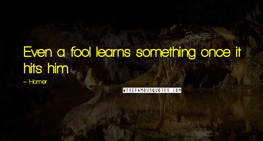 Homer quotes: Even a fool learns something once it hits him.