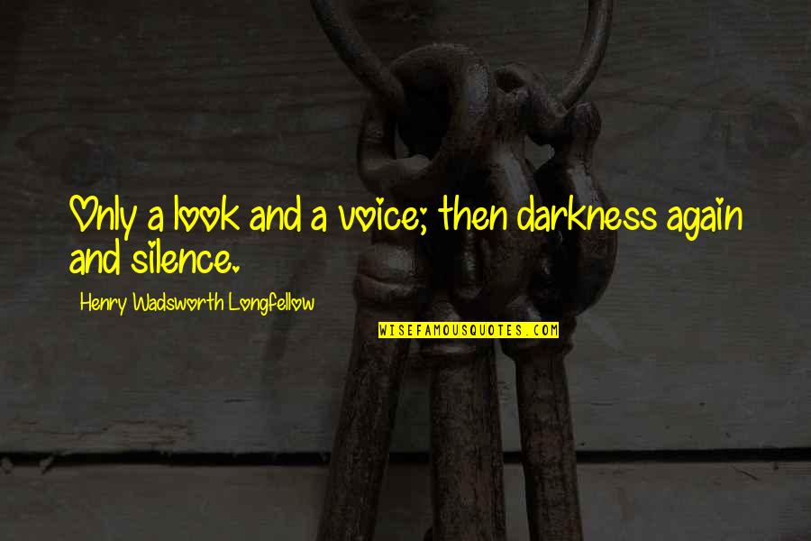 Homer Shining Quotes By Henry Wadsworth Longfellow: Only a look and a voice; then darkness