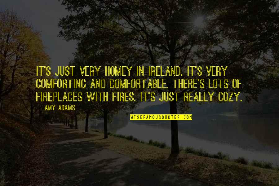 Homey Quotes By Amy Adams: It's just very homey in Ireland. It's very