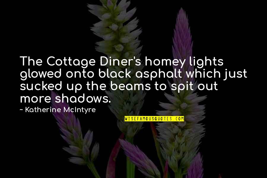 Homey Quotes By Katherine McIntyre: The Cottage Diner's homey lights glowed onto black