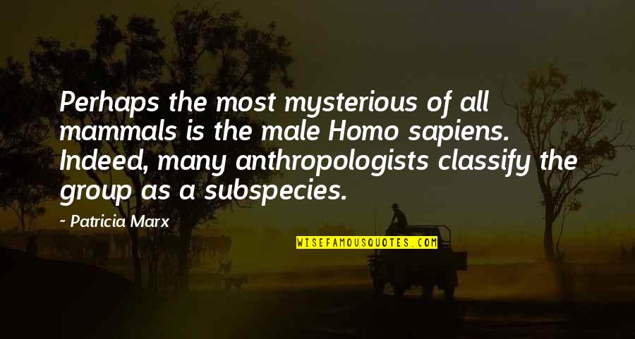 Homo Quotes By Patricia Marx: Perhaps the most mysterious of all mammals is