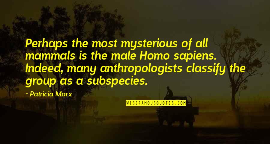 Homo Sapiens Quotes By Patricia Marx: Perhaps the most mysterious of all mammals is Homo Sapiens Quotes By Patricia Marx: Perhaps the most mysterious of all mammals is