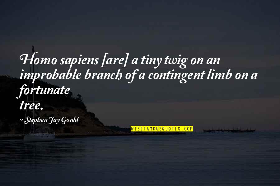 Homo Sapiens Quotes By Stephen Jay Gould: Homo sapiens [are] a tiny twig on an