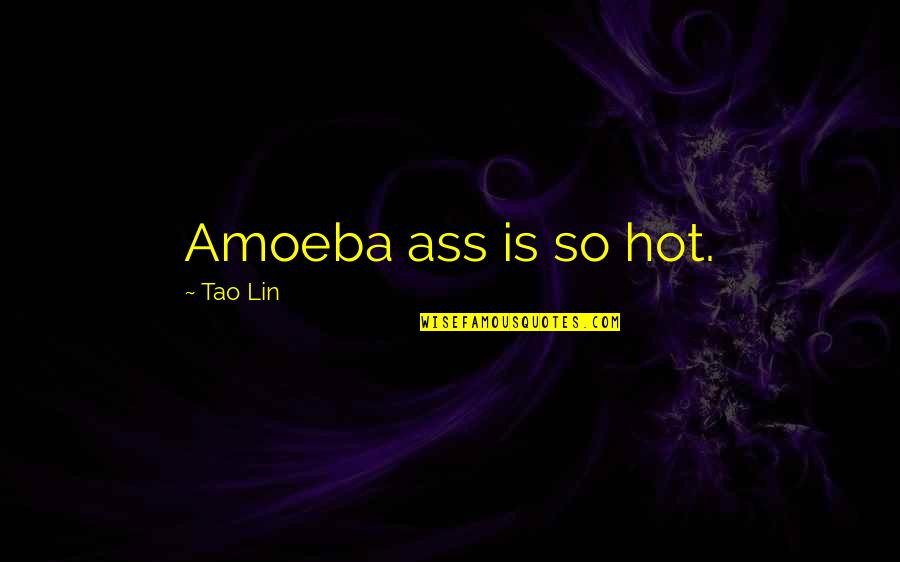 Homo Zapiens Quotes By Tao Lin: Amoeba ass is so hot.