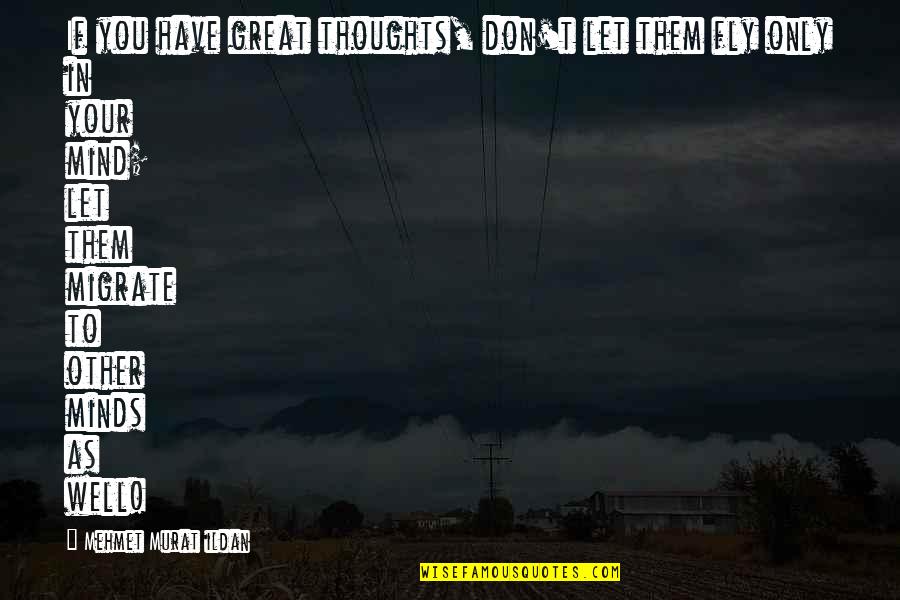 Homokba Rajzolt Quotes By Mehmet Murat Ildan: If you have great thoughts, don't let them