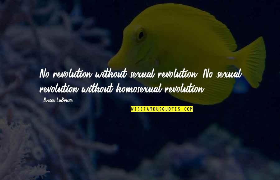 Homosexual Quotes By Bruce LaBruce: No revolution without sexual revolution. No sexual revolution