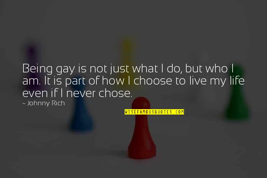Homosexual Quotes By Johnny Rich: Being gay is not just what I do,