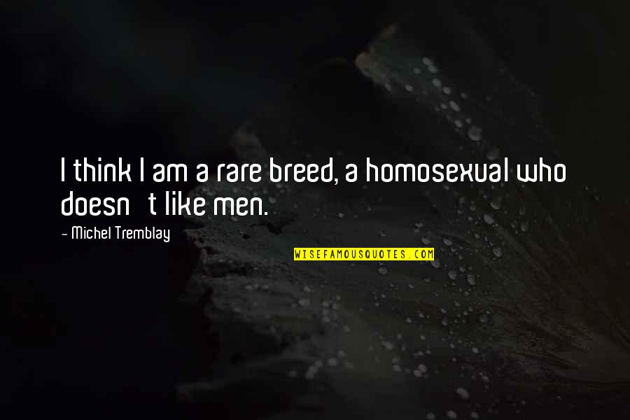 Homosexual Quotes By Michel Tremblay: I think I am a rare breed, a