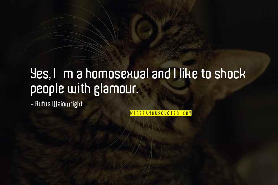 Homosexual Quotes By Rufus Wainwright: Yes, I'm a homosexual and I like to