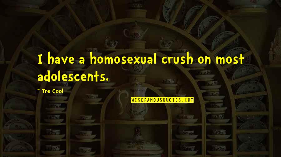 Homosexual Quotes By Tre Cool: I have a homosexual crush on most adolescents.