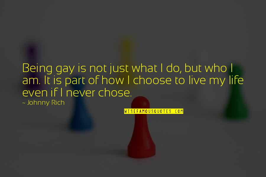 Homosexuality Quotes By Johnny Rich: Being gay is not just what I do,