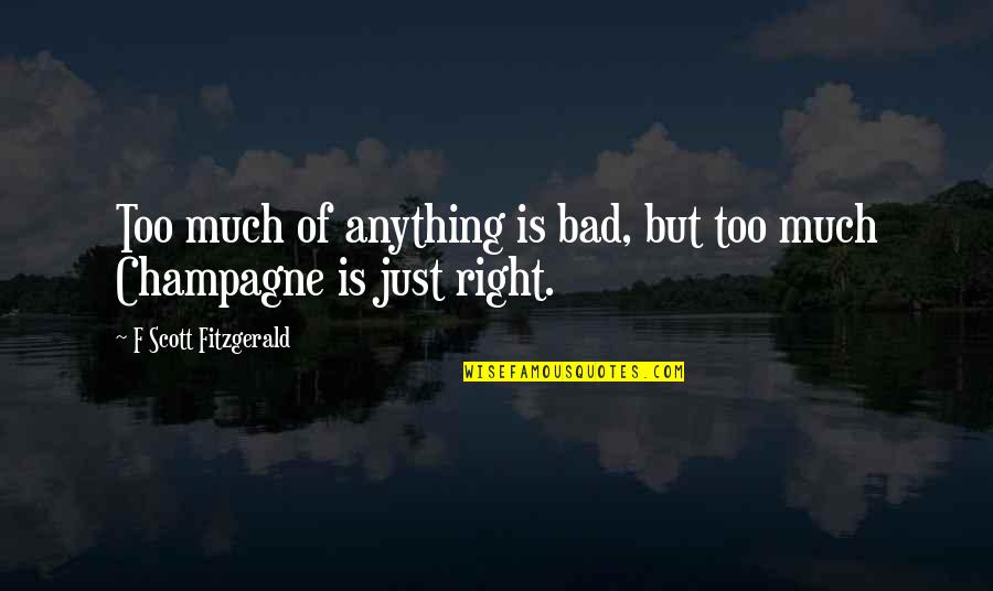 Honah Quotes By F Scott Fitzgerald: Too much of anything is bad, but too