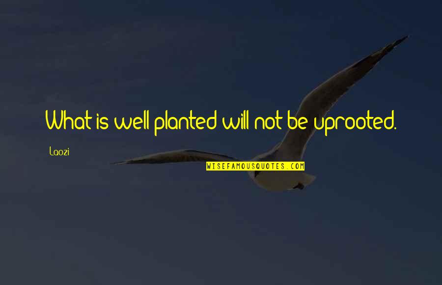 Honetta Quotes By Laozi: What is well planted will not be uprooted.