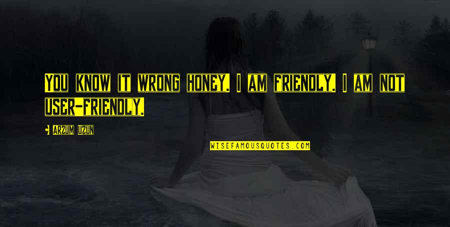 Honey And Friendship Quotes By Arzum Uzun: You know it wrong honey. I am friendly.
