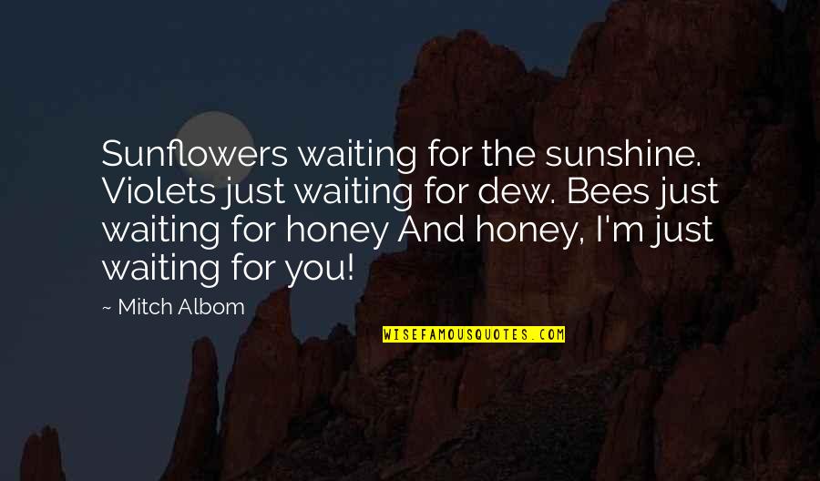 Honey Bees Quotes By Mitch Albom: Sunflowers waiting for the sunshine. Violets just waiting