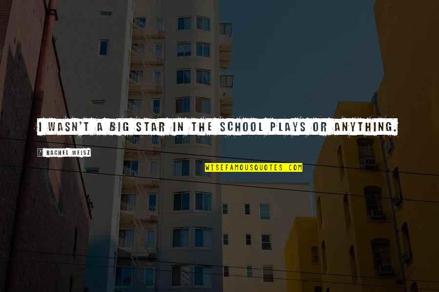 Honey Dip Quotes By Rachel Weisz: I wasn't a big star in the school Honey Dip Quotes By Rachel Weisz: I wasn't a big star in the school