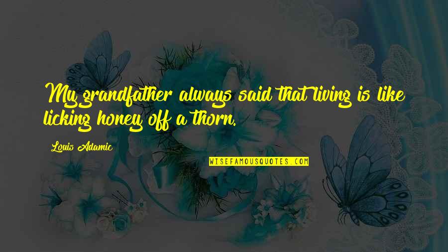 Honey Honey Quotes By Louis Adamic: My grandfather always said that living is like