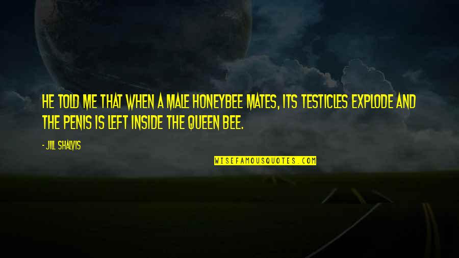 Honeybee Quotes By Jill Shalvis: He told me that when a male honeybee Honeybee Quotes By Jill Shalvis: He told me that when a male honeybee