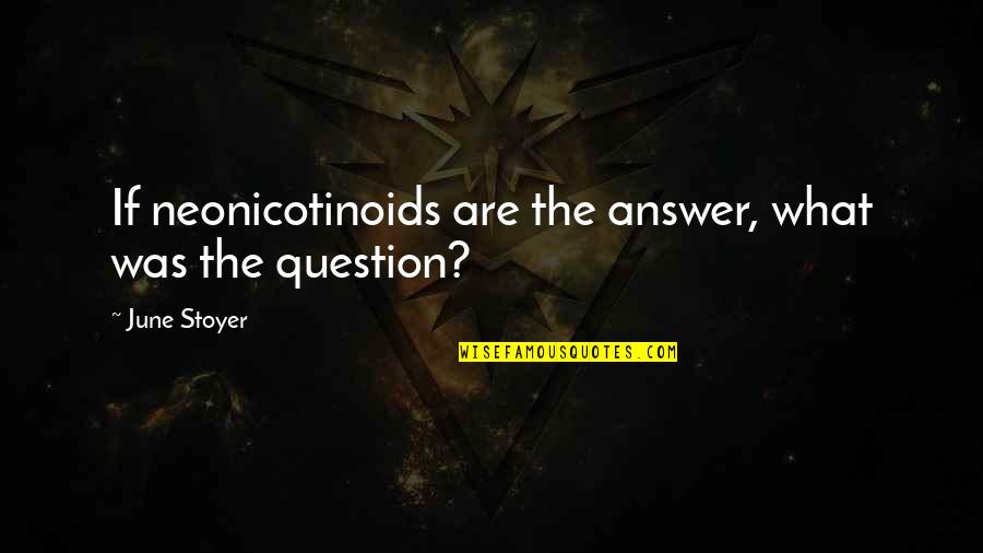 Honeybees Quotes By June Stoyer: If neonicotinoids are the answer, what was the