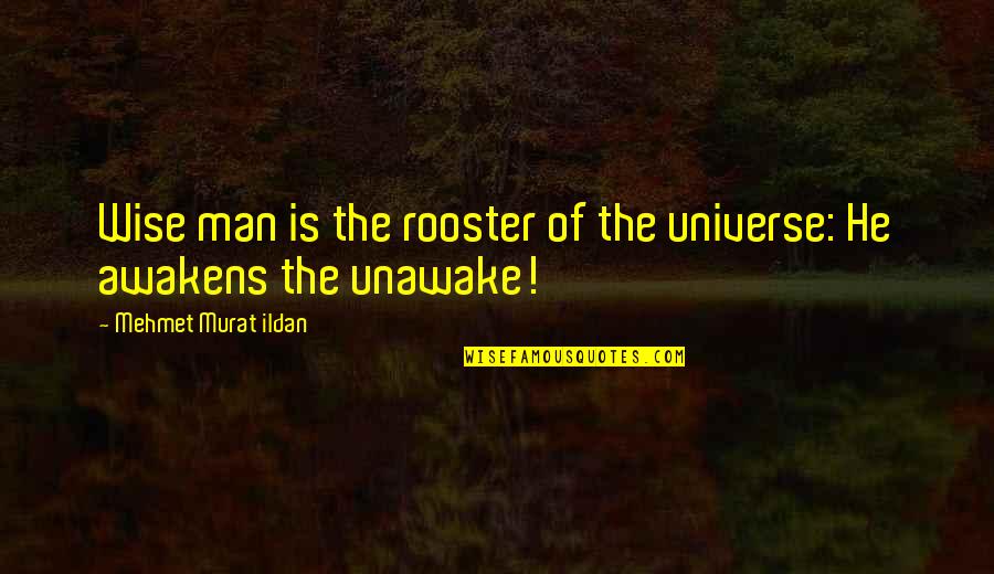 Honeymoon Avenue Quotes By Mehmet Murat Ildan: Wise man is the rooster of the universe: