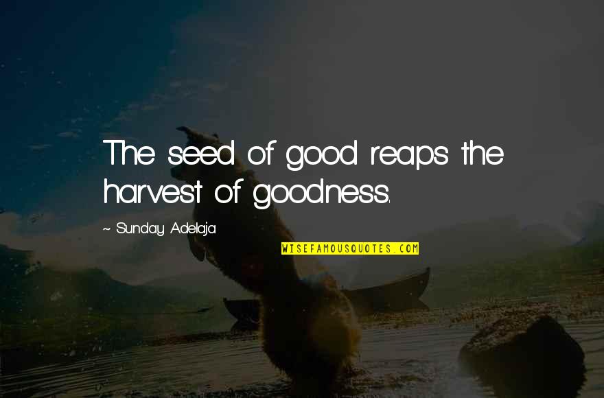 Honjo Masamune Quotes By Sunday Adelaja: The seed of good reaps the harvest of Honjo Masamune Quotes By Sunday Adelaja: The seed of good reaps the harvest of