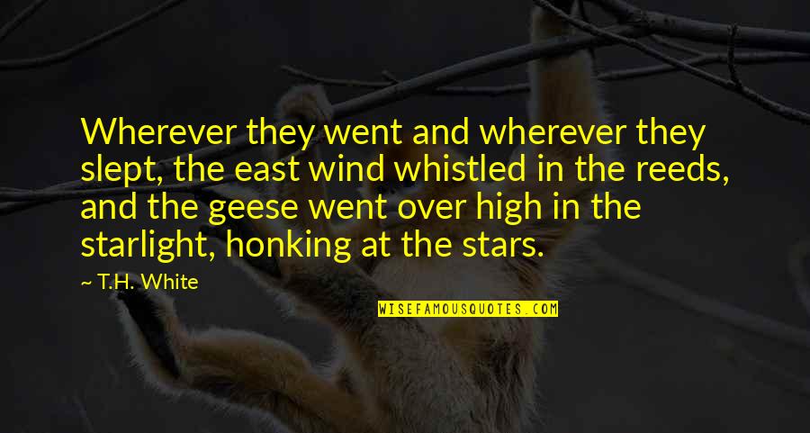 Honking Quotes By T.H. White: Wherever they went and wherever they slept, the