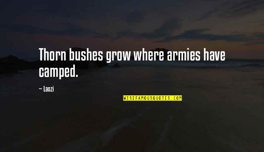 Honor Phrases Quotes By Laozi: Thorn bushes grow where armies have camped.