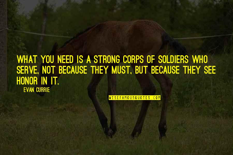 Honor Soldiers Quotes By Evan Currie: what you need is a strong corps of