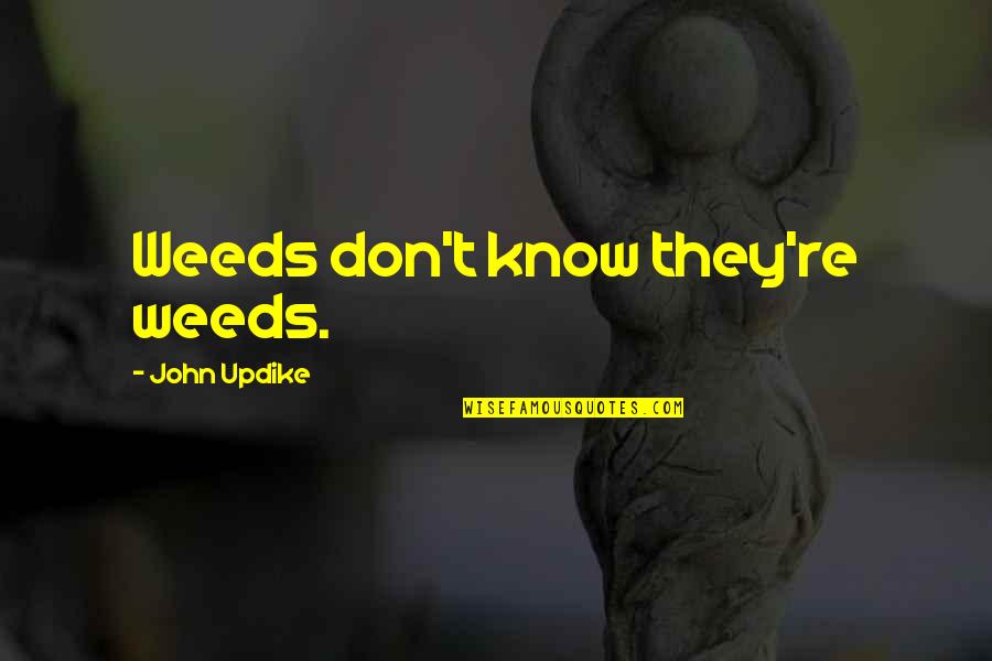 Honorius Wiki Quotes By John Updike: Weeds don't know they're weeds.