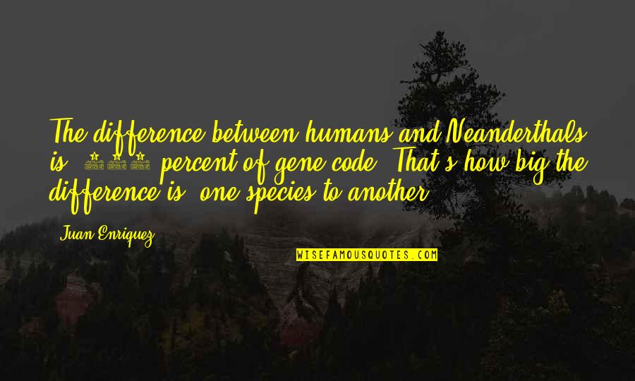 Hony Quotes By Juan Enriquez: The difference between humans and Neanderthals is .004