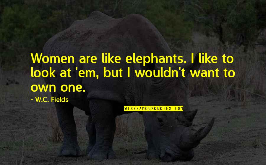 Hood Trenches Quotes By W.C. Fields: Women are like elephants. I like to look