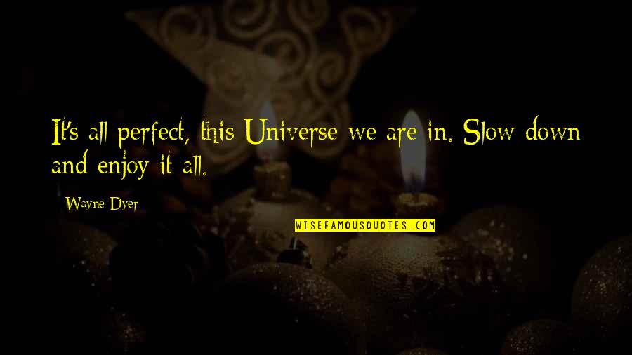 Hoodies Bonfires Fall Quotes By Wayne Dyer: It's all perfect, this Universe we are in.
