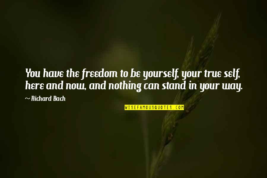 Hoofikins Quotes By Richard Bach: You have the freedom to be yourself, your